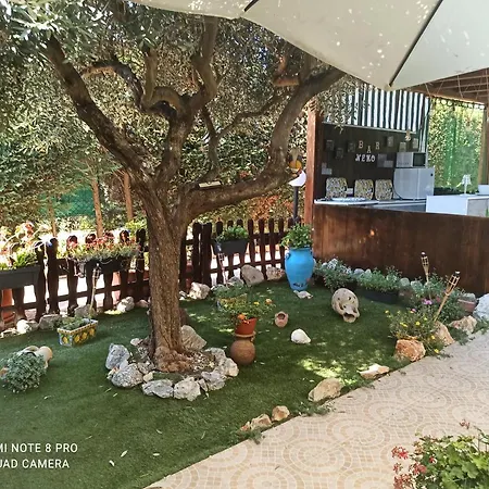 Guest house Nemo